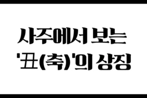 사주에서 보는 ‘丑(축)’의 상징 : 음토의 기운과 내면의 인내