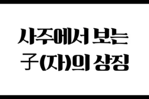 사주에서 보는 子(자)의 상징 : 생명력과 조심성의 기운
