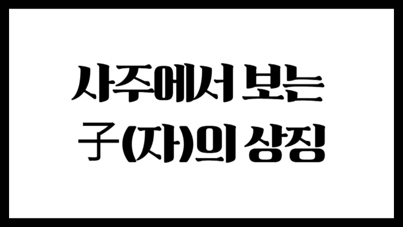 사주에서 보는 子(자)의 상징 : 생명력과 조심성의 기운