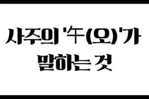 태양이 가장 높이 뜨는 시간, 사주의 ‘午(오)’가 말하는 것 :  드러남과 유동성의 지지