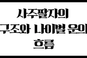 사주팔자의 구조와 나이별 운의 흐름 : 연월일시가 말해주는 인생 설계도
