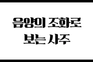 음양의 조화로 보는 사주 : 음(陰)과 양(陽), 얼마나 알고 계신가요?