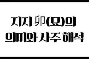 지지 卯(묘)의 의미와 사주 해석 : 변화와 연애의 기운을 지닌 봄의 토끼
