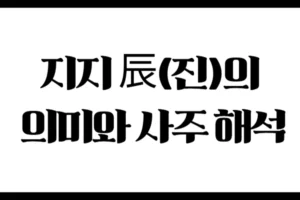 지지 辰(진)의 의미와 사주 해석 : 겉은 화려하고 속은 치밀한 상상의 기운