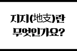 지지(地支)란 무엇인가요? : 땅의 기운을 나눈 12단계 구조