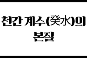 천간 계수(癸水)의 본질 : 부드럽고 깊은 생명력의 물