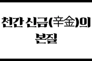 천간 신금(辛金)의 본질 : 섬세하지만 강한 기운의 상징