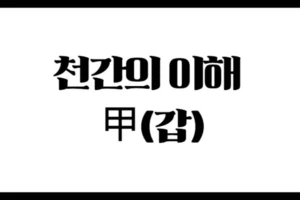 천간의 이해 : 甲(갑)