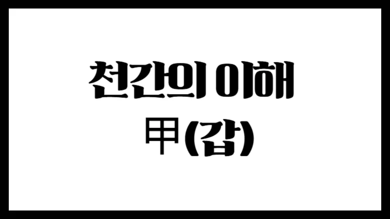 천간의 이해 : 甲(갑)