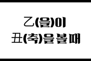 乙(을)이 丑(축)을 볼 때 – 조용한 땅 속에 숨겨진 인성의 씨앗