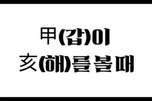 甲(갑)이 亥(해)를 볼 때 – 정신성과 학문성 중심의 편인 구조