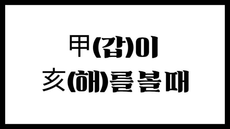 甲(갑)이 亥(해)를 볼 때 – 정신성과 학문성 중심의 편인 구조