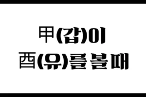 甲(갑)이 酉(유)를 볼 때 – 질서와 실속이 함께하는 정관(正官)의 세계