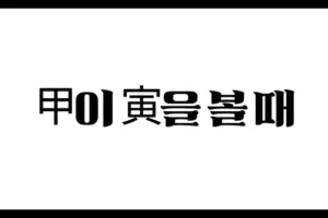 甲이 寅을 볼 때 – 비견과 록지의 주체적 기운 해석
