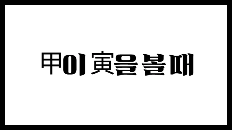 甲이 寅을 볼 때 – 비견과 록지의 주체적 기운 해석