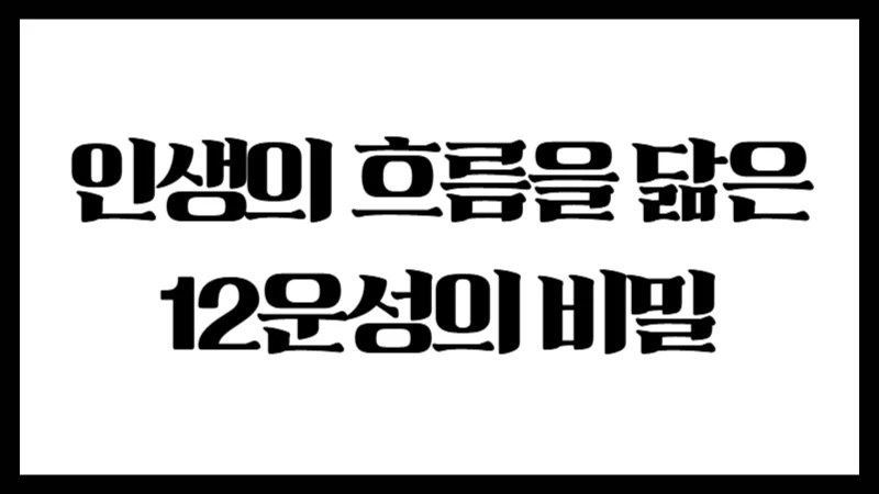 인생의 흐름을 닮은 12운성의 비밀 – 기운이 태어나고 사라지는 12단계